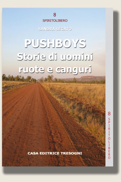 Pushboys