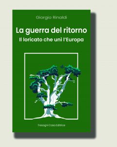 La guerra del ritorno
